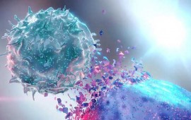 Lidando com o Condrossarcoma: Diagnóstico e Estratégias de Tratamento 